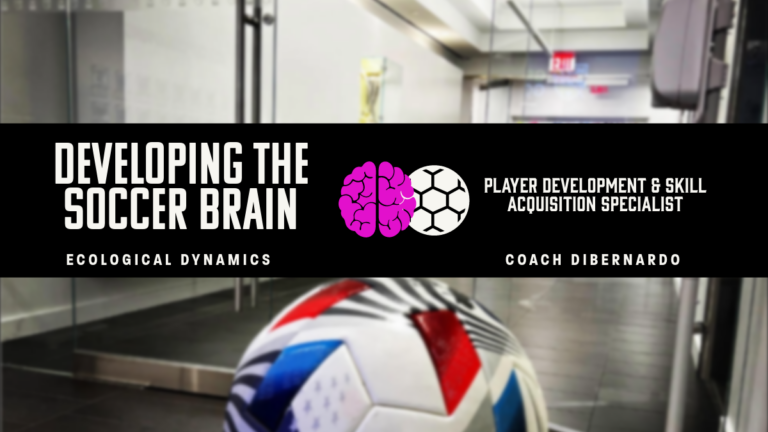 Developing the brain - Marcus DiBernardo - vzdelávanie.digital